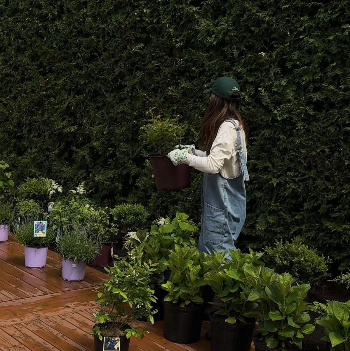 WhatsApp Image 2026 02 25 at 06.40.50